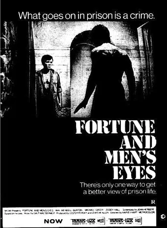 fortune and men's eyes 1971 poster