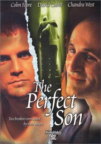 the perfect son 2000 poster