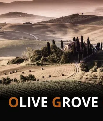 the olive grove poster