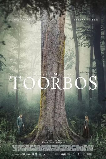 toorbos 2019 poster