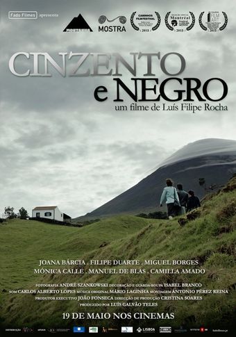 cinzento e negro 2015 poster