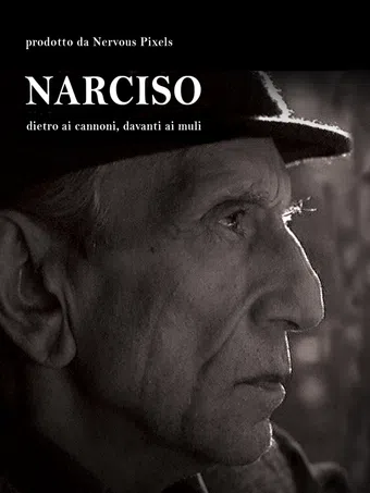 narciso, dietro i cannoni, davanti ai muli 2008 poster