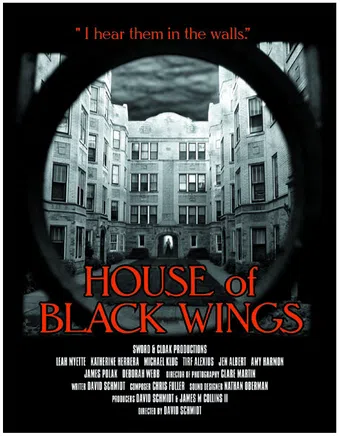 house of black wings 2010 poster