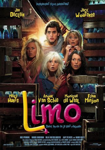 limo 2009 poster