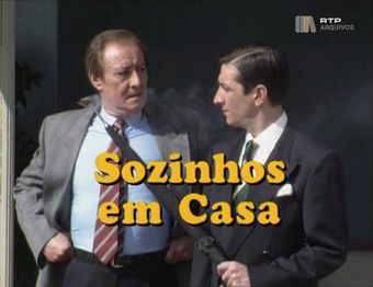 sozinhos em casa 1993 poster