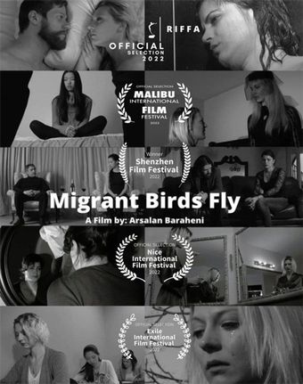 migrant birds fly 2021 poster