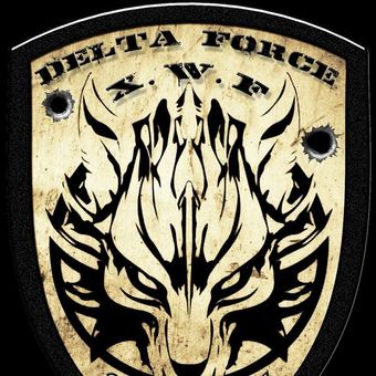 delta force pr 2016 poster