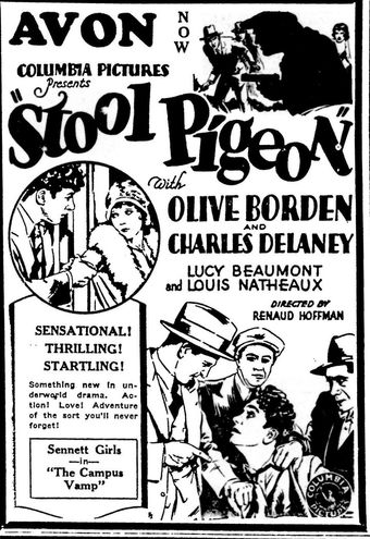 stool pigeon 1928 poster