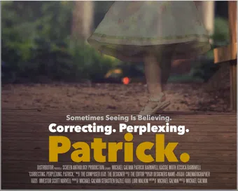 correcting. perplexing. patrick. 2013 poster