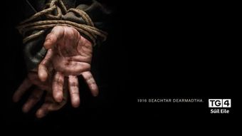 1916 seachtar dearmadta 2013 poster