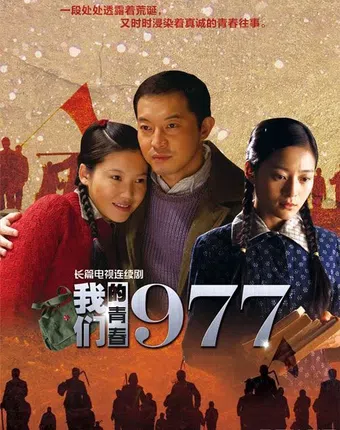 wo men de qing chun 1977 2014 poster