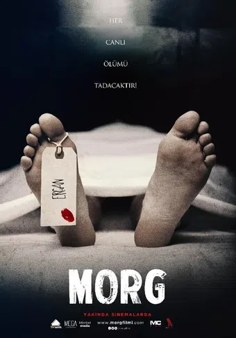 morg 2017 poster