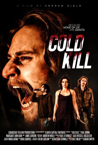 cold kill poster