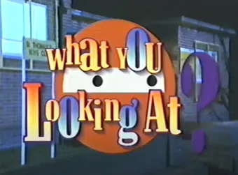 what you lookin' at? 1993 poster