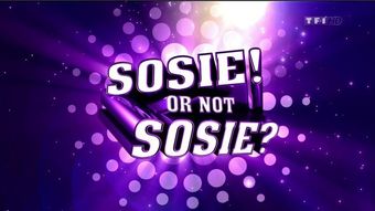 sosie! or not sosie? 2011 poster