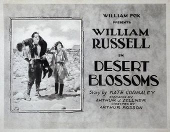 desert blossoms 1921 poster