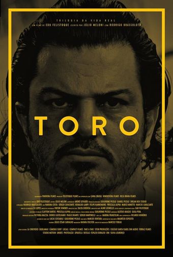 toro 2016 poster