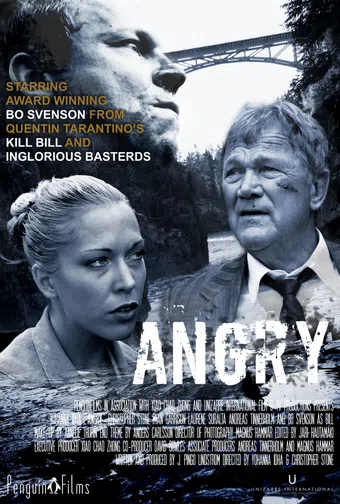 angry 2010 poster