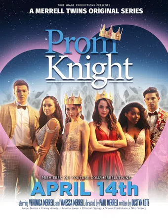 prom knight 2020 poster