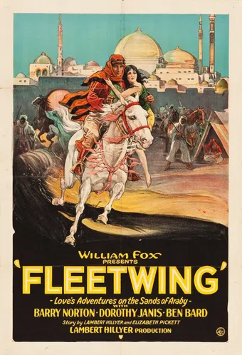 fleetwing 1928 poster