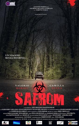 safrom 2015 poster