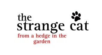 the strange cat from a hedge in the garden 2023 poster