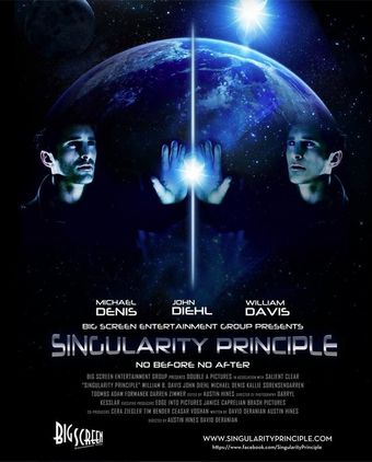 singularity principle 2013 poster