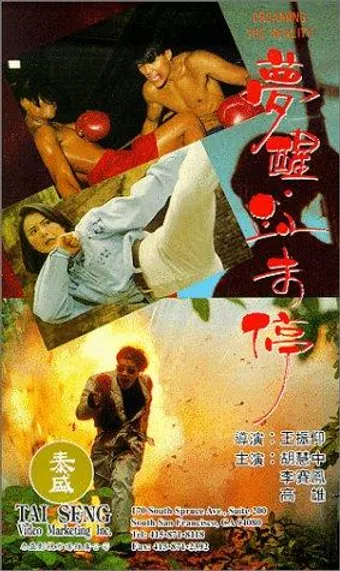 meng xing xue wei ting 1991 poster