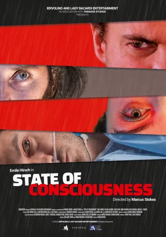 state of consciousness 2022 poster