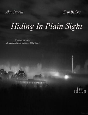 hiding in plain sight poster