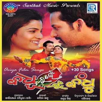 badhu nuhen mu bandhu 2013 poster