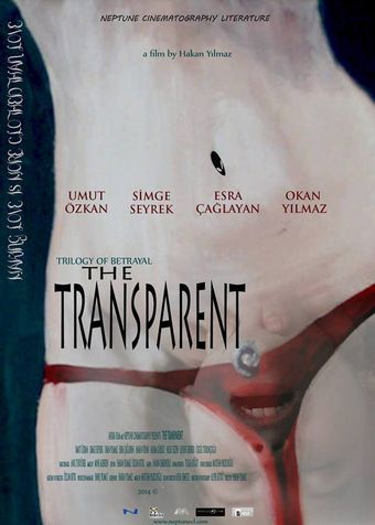 the transparent 2015 poster