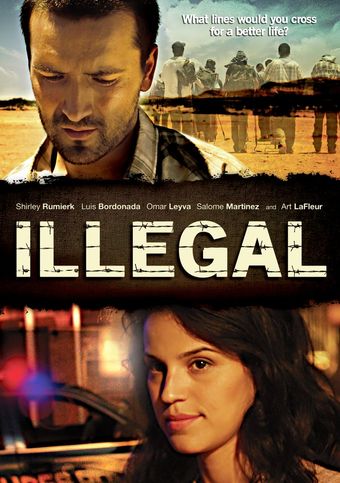 illegal 2010 poster