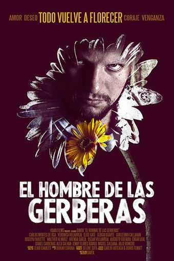 el hombre de las gerberas 2013 poster