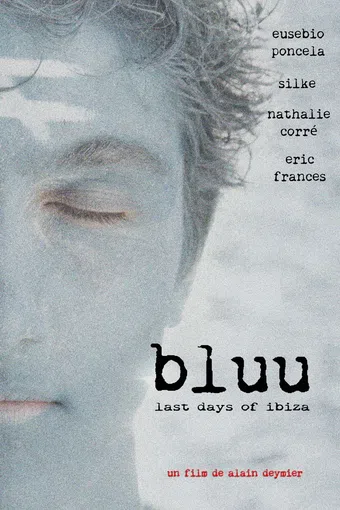 bluu, last days of ibiza 2013 poster