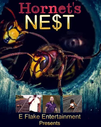 hornet's nest 2021 poster