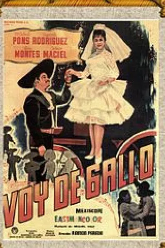 voy de gallo 1963 poster