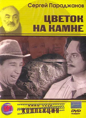 tsvetok na kamne 1962 poster