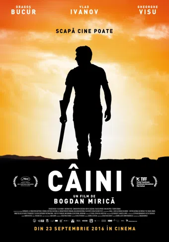 câini 2016 poster