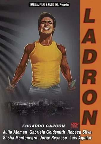 ladrón 1988 poster