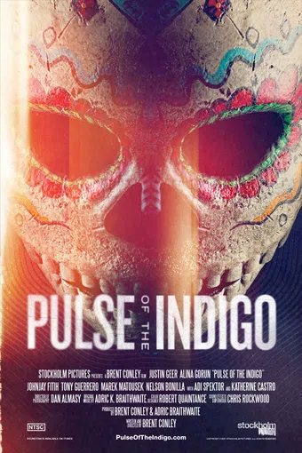 pulse of the indigo 2012 poster