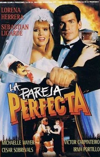 la pareja perfecta 1991 poster