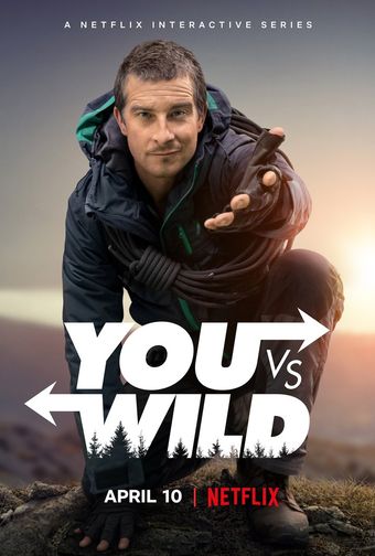 you vs. wild 2019 poster