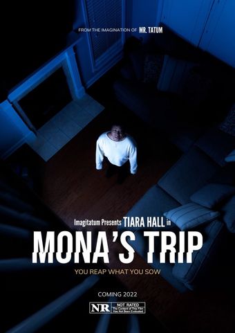 mona's trip poster