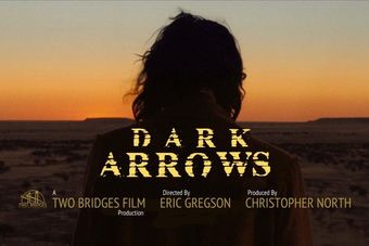 dark arrows poster