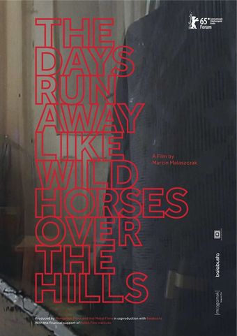 the days run away like wild horses over the hills 2015 poster