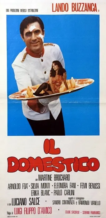 il domestico 1974 poster