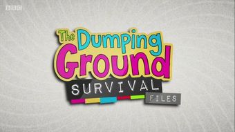 the dumping ground survival files 2014 poster