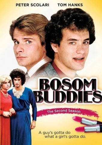 bosom buddies 1980 poster