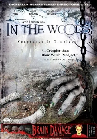 in the woods 1999 poster